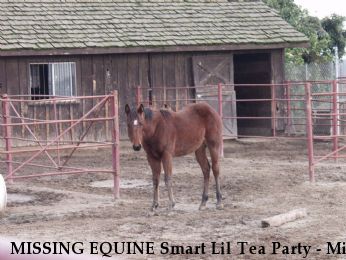 MISSING EQUINE Smart Lil Tea Party - Mia RECOVERED Near Porterville, CA, 93257
